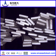 Low Price Hot Rolled Steel Flat Bar/ Manufacturer in China